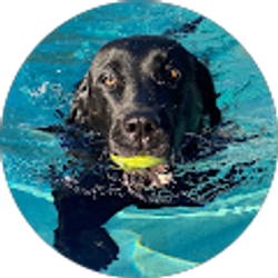 Profile photo of Drew Tanquary