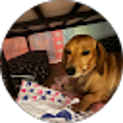 Profile photo of Sydney Dowdy