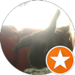 Profile photo of Chrissy Serra