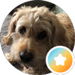 Profile photo of ILLINOSBENEFITS