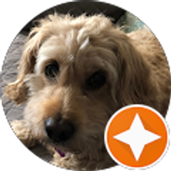 Profile photo of ILLINOSBENEFITS