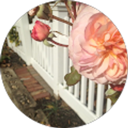 Profile photo of Lorraine Murphy