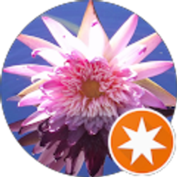 Profile photo of Cheryl Higgins