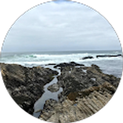 Profile photo of Briseida Colores