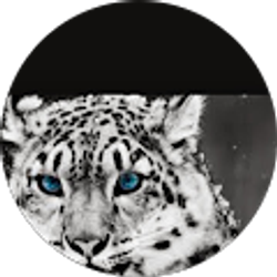 Profile photo of Lukey Poo