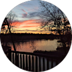 Profile photo of Katherine Traynor