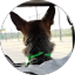 Profile photo of Amy Johnson