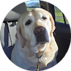 Profile photo of Brenda Berge