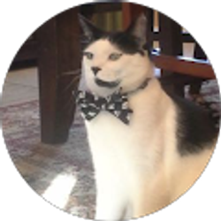 Profile photo of Trent Wardin