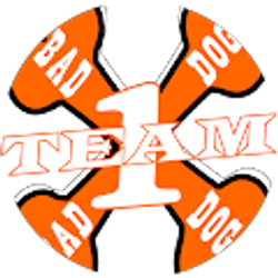 Profile photo of 1BadDogRacing