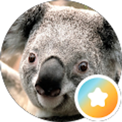 Profile photo of Damion Durst
