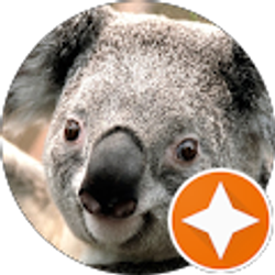 Profile photo of Damion Durst