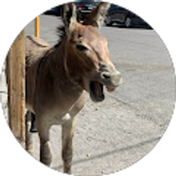 Profile photo of Don Hansen