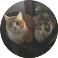 Profile photo of Pat/Laurie Buchanan