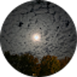 Profile photo of Rick A