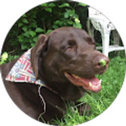 Profile photo of Jessica Hunter