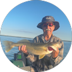 Profile photo of Ish Walter