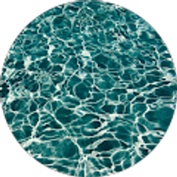 Profile photo of Haleh Tlund