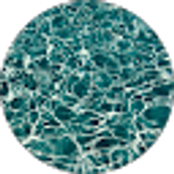 Profile photo of Haleh Tlund