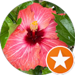 Profile photo of A N