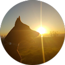 Profile photo of A P