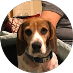 Profile photo of Hank Jackson