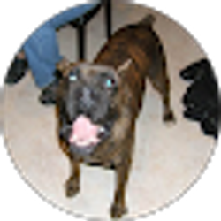 Profile photo of TheCaller20