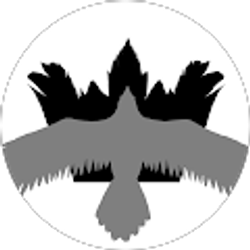 Profile photo of Kacey J.