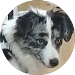 Profile photo of Betty Green