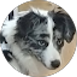 Profile photo of Betty Green