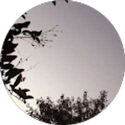 Profile photo of Jasmine Belman