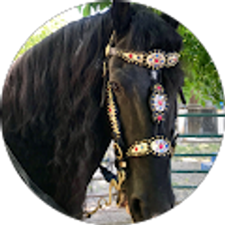 Profile photo of Susie Solomon