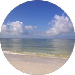 Profile photo of Kathy Stine