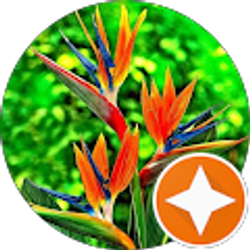 Profile photo of Karina Jacinto