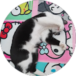 Profile photo of Tama