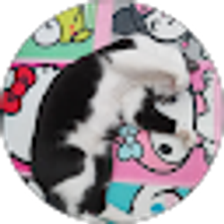 Profile photo of Tama