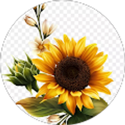 Profile photo of Zoila Alvarado