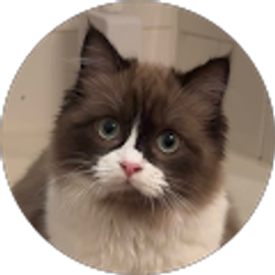 Profile photo of Edyn Chandler