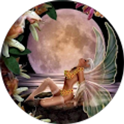 Profile photo of LaDonna Steadman