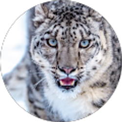 Profile photo of Peter Faltys