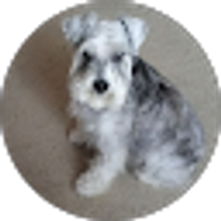 Profile photo of Deborah May (Deborah)