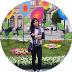 Profile photo of Nazi Berdzenishvili