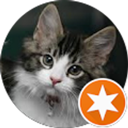 Profile photo of Julie Mciver