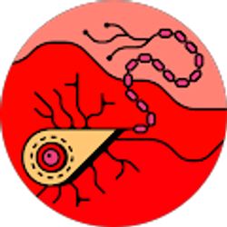 Profile photo of Ema E
