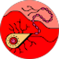 Profile photo of Ema E
