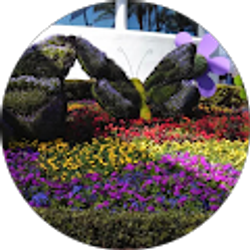 Profile photo of Kim Place