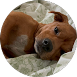 Profile photo of Moxie Johansen