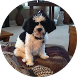 Profile photo of Nancy Case