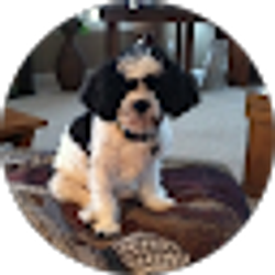 Profile photo of Nancy Case