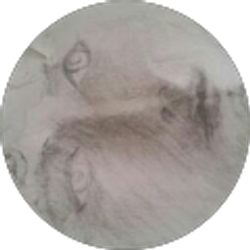 Profile photo of D. J.